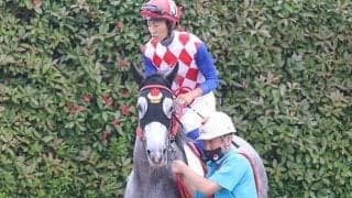 愛らしい芦毛馬・イチゴショート　厩務員とおそろいの姿が話題沸騰中！