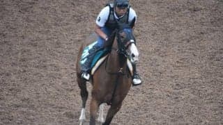 サウンドクレアなど、先週のゲート試験/栗東トレセンニュース