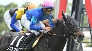 【マーメイドSハンデ確定】ソフトフルートは54.0kg、サンクテュエールは55.0kg