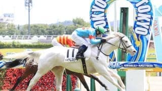 【新馬/東京5R】ソダシのいとこ、白毛のハイアムズビーチがデビューV