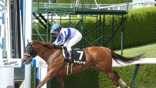 【ユニコーンS予想オッズ】ルーチェドーロが単勝2.4倍で予想1番人気に