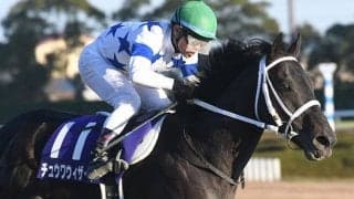 【帝王賞】JRA所属の選定馬発表　チュウワウィザード、オメガパフューム、オーヴェルニュなど