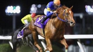 【川崎スパーキングスプリント結果】カプリフレイバーが人気に応え快勝　重賞2勝目