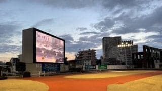 【関東オークス】ウェルドーン5枠6番