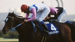 トウカイテイオー最後の産駒、キセキノテイオーが競走能力・発走調教検査に受からず