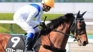 【マーメイドS展望】荒れる牝馬ハンデ戦、あの馬に期待したい