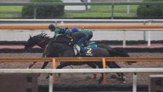 アリストテレス、宝塚記念1週前追い切り速報/栗東トレセンニュース