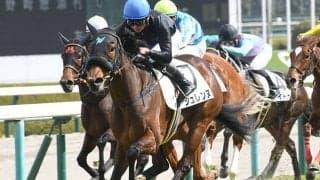 【先週のJRA抹消馬】名牝スノーフェアリーの半妹シュレンヌ、アグネスデジタル産駒のフクサンローズなど