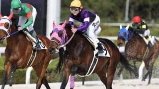 デビュー年から活躍！ 二桁勝利をあげる兵庫の新人騎手たちの共通点