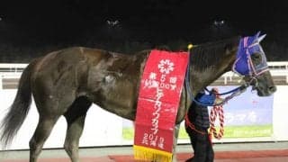 【門別競馬情報】レース史上初「3連覇」なるかクオリティスタート！世代交代もくろむ4歳馬ネーロルチェンテ、3歳馬スマイルミュらにも注目「第7回ヒダカソウカップH2」/地方競馬情報