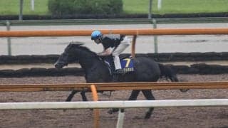 クロノジェネシス、宝塚記念1週前追い切り速報/栗東トレセンニュース