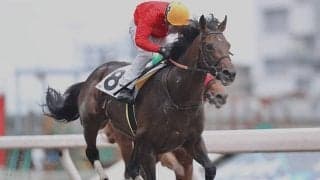 【川崎4R・ホタル特別】メンタイマヨがデビュー2連勝/地方競馬レース結果
