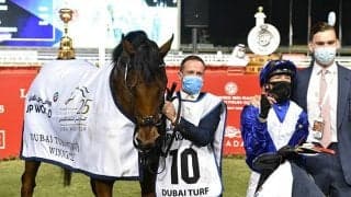 【海外競馬】ドバイターフ覇者ロードノース、馬場状態嫌いプリンスオブウェールズS出走取消