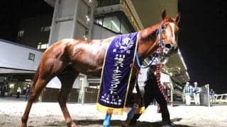 【川崎・スパーキングスプリント】1番人気に応えたカプリフレイバー　真島大輔騎手「短いところならもっともっと大きなところも狙える馬」