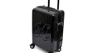 ロッテ、特別キャリーケース付きリモート応援チケット販売「使いやすいデザイン」