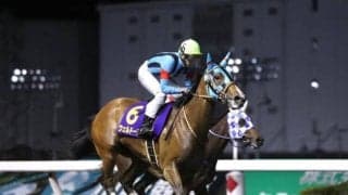 【関東オークス回顧】南関東二冠馬をねじ伏せたウェルドーン/斎藤修