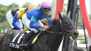 【マーメイドS出走馬・騎手確定】ソフトフルート＆横山和生、シャドウディーヴァ＆福永祐一など16頭