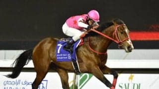 【ユニコーンS出走馬・騎手確定】ピンクカメハメハ＆北村宏司、ゲンパチフォルツァ＆木幡巧也など16頭