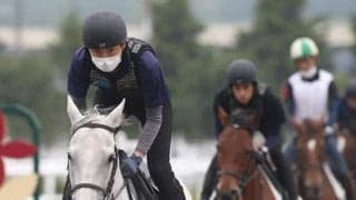 小学校教諭から馬の世界へ転職…！ 若者たちと訓練に励む30代の研修生