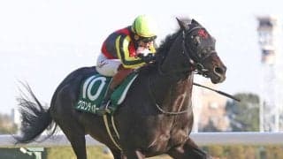グロンディオーズが競走馬登録抹消