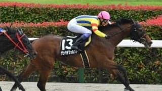 ユニコーンＳは種牡馬別成績を分析。激走の気配がある３頭に注目だ