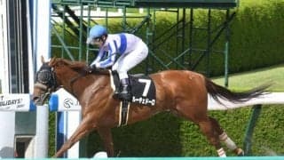 【ユニコーンS枠順確定】ルーチェドーロは大外8枠16番、ラペルーズは2枠4番