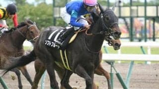 【マーメイドS枠順確定】ソフトフルートは4枠8番、サンクテュエールは7枠14番