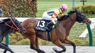 【ユニコーンS予想】人気中心の素質馬に注意警報 定年間近の師は4年ぶり重賞制覇のチャンスだが…/JRAレース展望