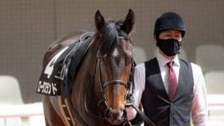 【米子S】ロータスランド辻野師「この馬のポテンシャルが出せるようになってきた」/ねぇさんのトレセン密着
