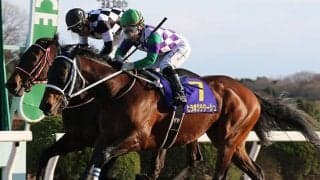 ヒラボクラターシュが船橋競馬へ移籍、2019年の佐賀記念覇者