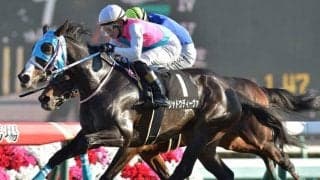 【マーメイドS予想】危険馬の高評価に疑問!? 大荒れの雰囲気がプンプンする難解レースは消去法と相性が良い/JRAレース展望