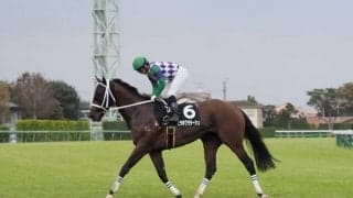 ヒラボクラターシュが競走馬登録抹消