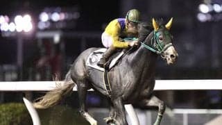 【川崎・中原オープン結果】フレッチャビアンカが南関東移籍後、初勝利を飾る