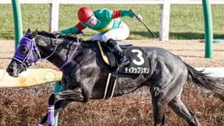 【ユニコーンS予想】ダート予想の専門家「荒れる可能性を感じます」 人気馬が強い傾向に逆らっても買いたい人気薄2頭/JRAレース展望