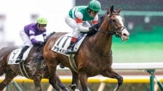 【東京5R新馬戦結果】人気のアライバルが抜け出し快勝