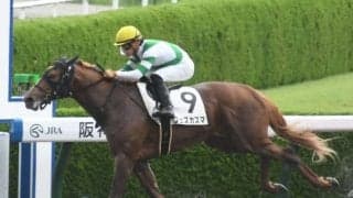 【阪神5R新馬戦結果】フェズカズマが人気に応えて快勝