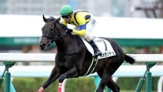【札幌5R新馬戦結果】ポメランチェがレコードで圧勝