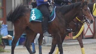 【POG】大物感満載！ダノンスコーピオン安田隆師「利口で優等生」/ねぇさんのトレセン密着