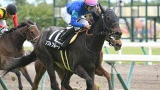 【マーメイドS】ソフトフルート斉藤師「素直で一生懸命」/ねぇさんのトレセン密着