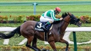 【万哲の馬場予報】スピードを磨いた距離延長組に向く舞台設定/ユニコーンS