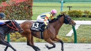 【WIN5予想】ユニコーンSは臨戦過程が重要なレース/伊吹雅也