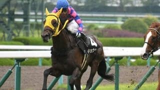 【JRA】米子S出走取消のキョウヘイは左後肢跛行