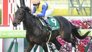 【JRA】2018年チャレンジC覇者エアウィンザーが引退、乗馬に　母はエアメサイア