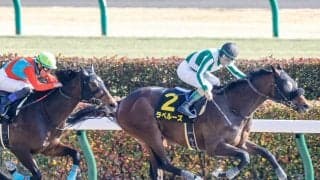 【ユニコーンS予想】安心の鞍上でも今回は危険!? 同舞台で好走でも再現性は高くない/JRAレース展望