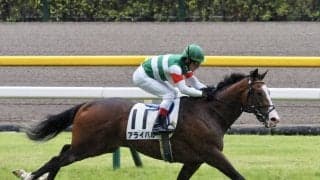 【新馬/東京5R】断然人気のアライバルがデビューV！