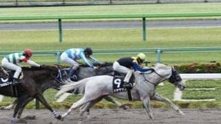 【スレイプニルS】白毛馬ハヤヤッコが直線一気決める