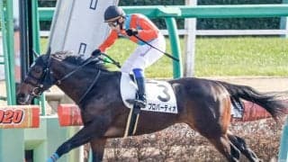 【ユニコーンS予想】今年は例外!? AI指名の注目馬は人気薄、父譲りの先行力とスピードを武器に押し切る/JRA重賞レース展望