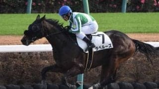 【本日の注目ポイント】東京でユニコーンS、阪神でマーメイドS