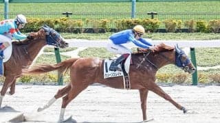 【ユニコーンS予想】鋭い決め手を秘めたダートの新星誕生に期待！