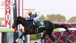 エアウィンザーが競走馬登録抹消